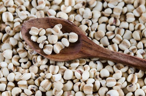 Té Lemongrass Para Que Sirve: Beneficios y Usos