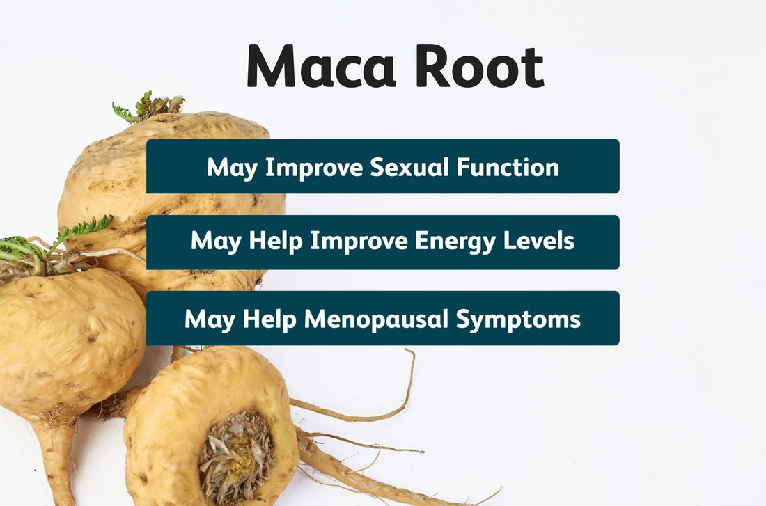 Beneficios del Mate de Cola de Caballo para la Salud