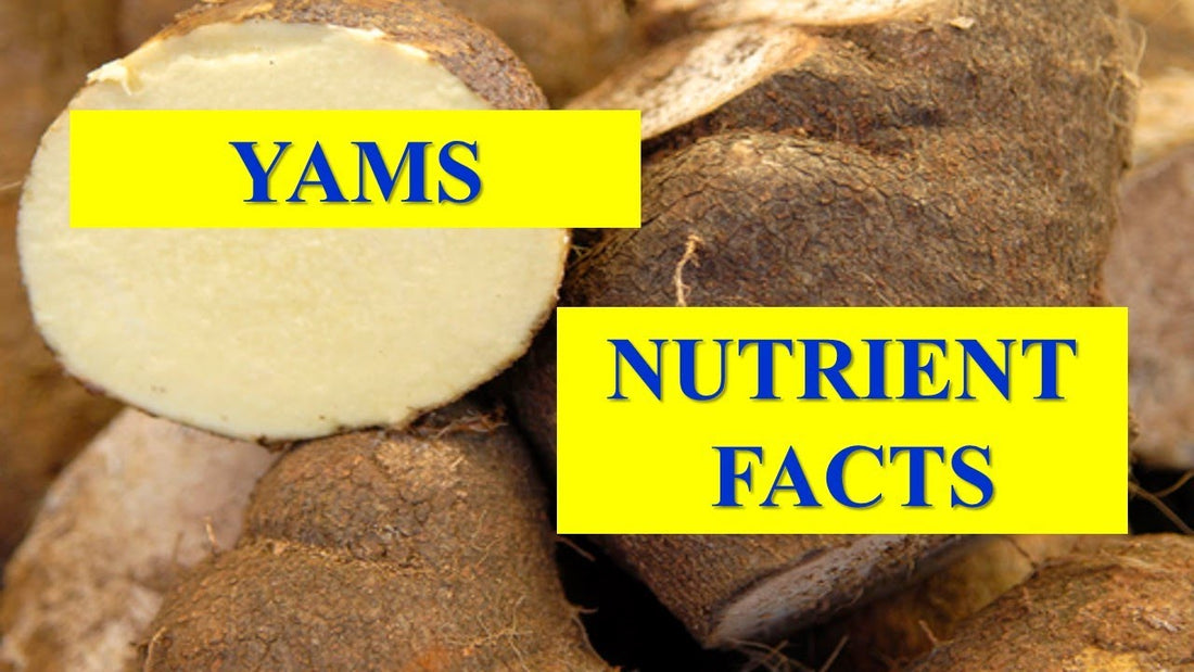 Boost Your Health with Korean Ginseng Tea: Benefits and Brewing Tips